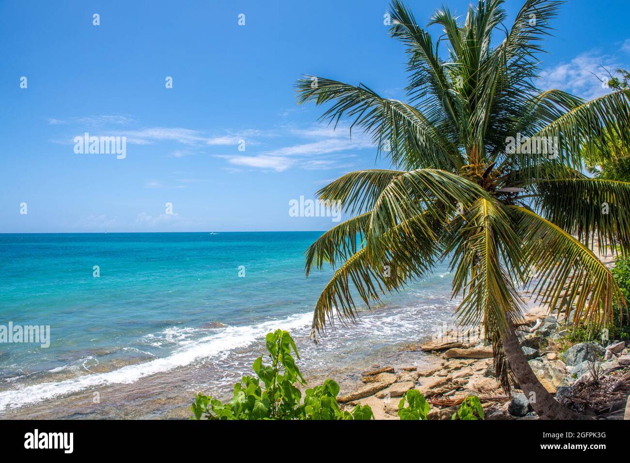 Ocean view from tropical beach hi-res stock photography and images - Alamy