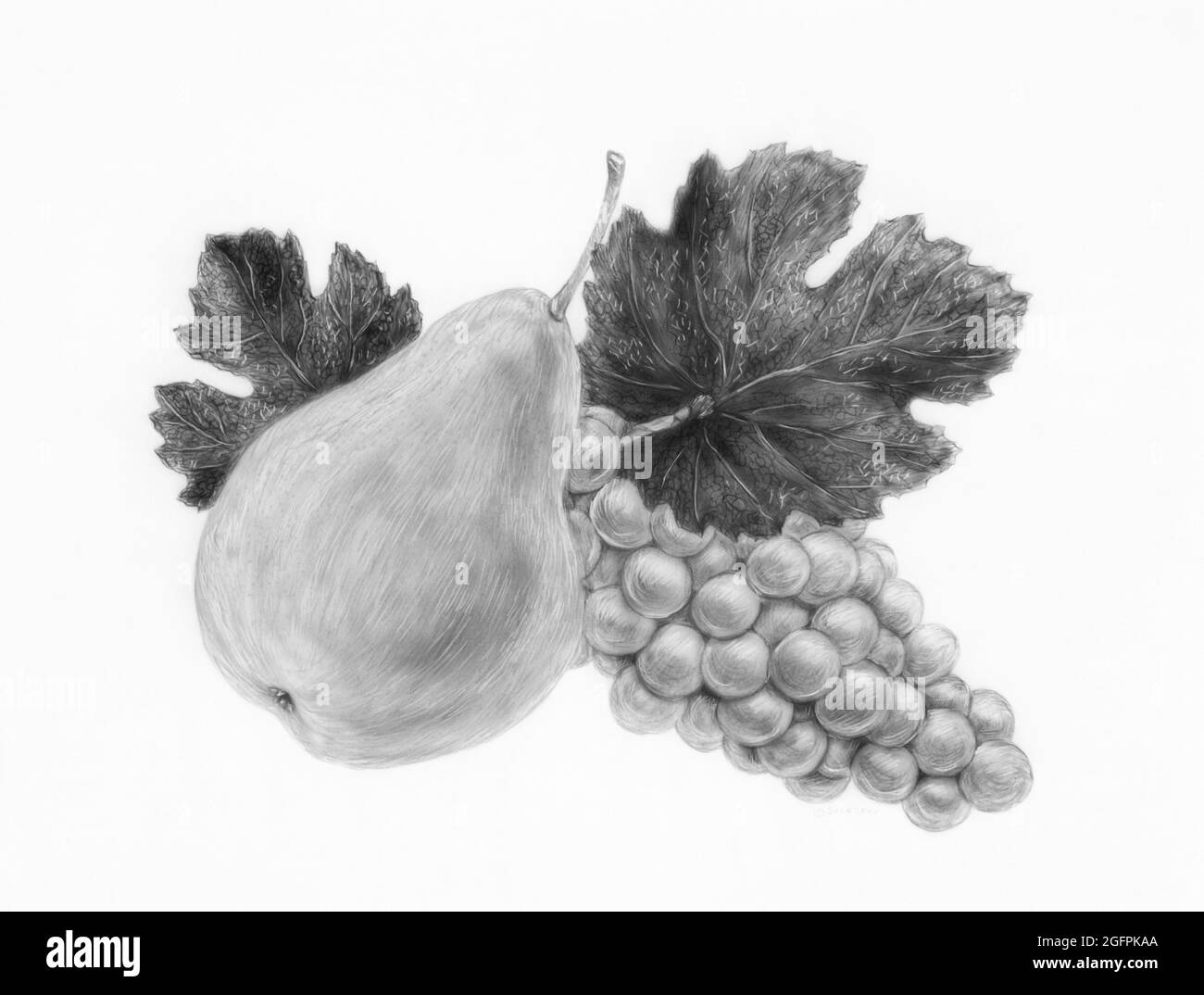 Grapes 🍇 | Grape drawing, Color pencil drawing, Realistic drawings
