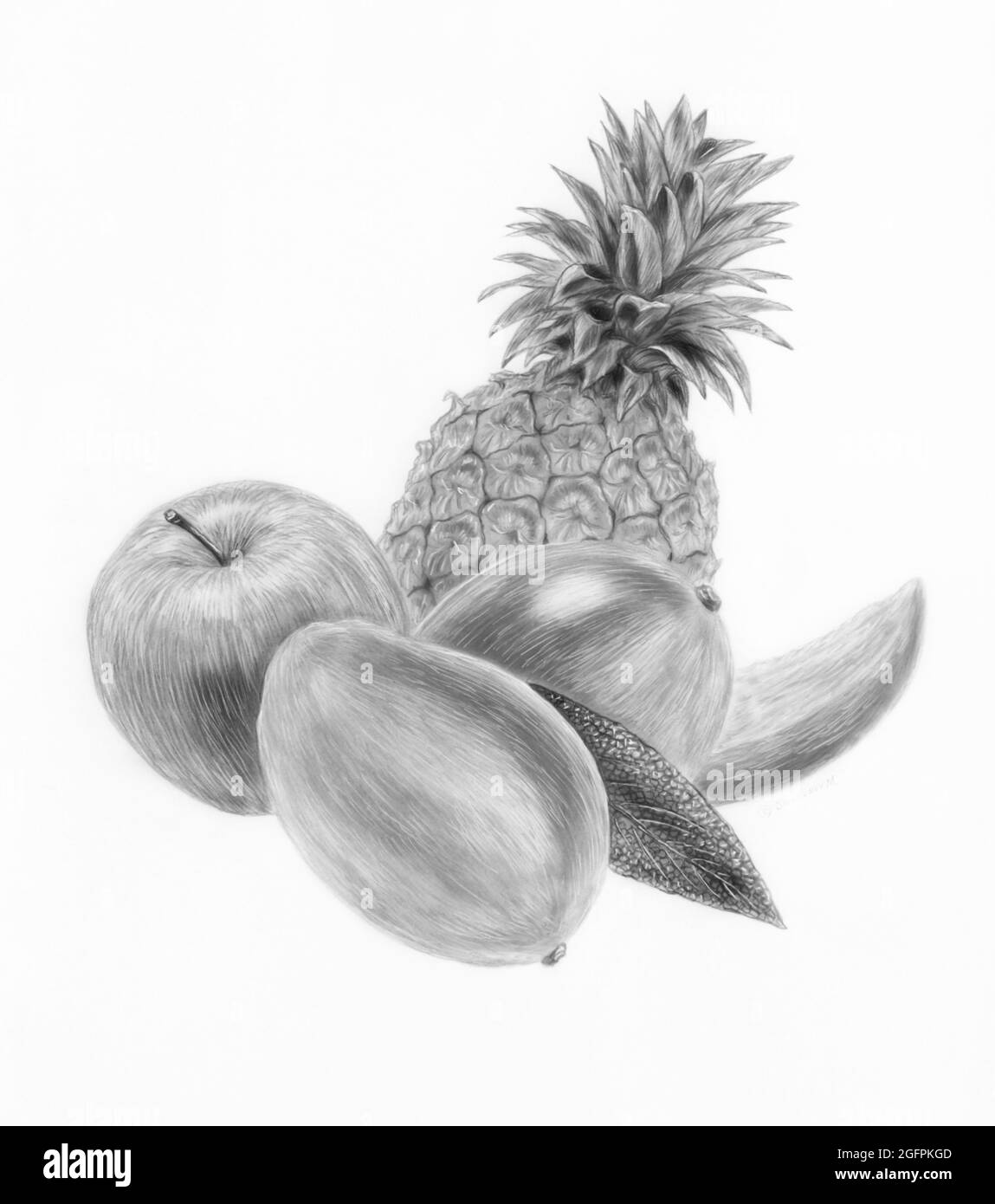 illustrations,berry,fruits, pineapple,mango,apple,still life Stock Photo