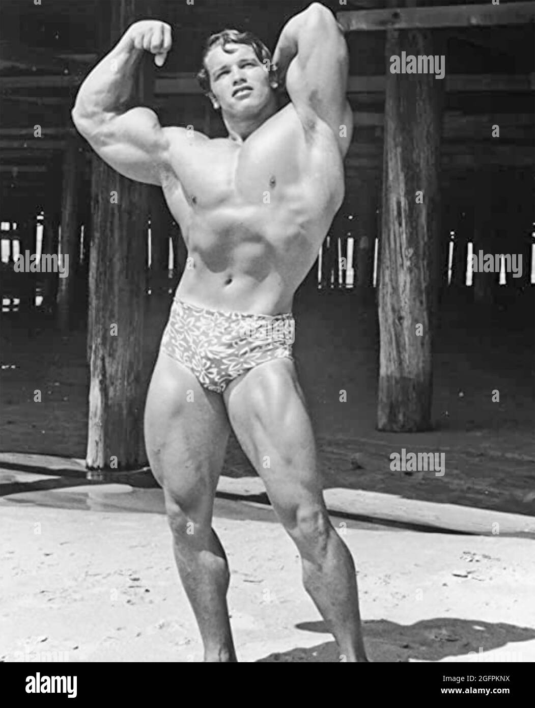 Arnold schwarzenegger muscles hi-res stock photography and images ...