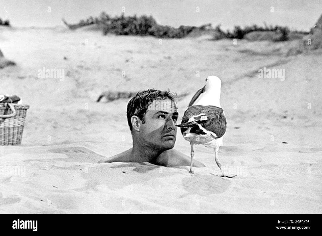 BEDTIME STORY  1964 Universal Pictures film with Marlon Brando Stock Photo