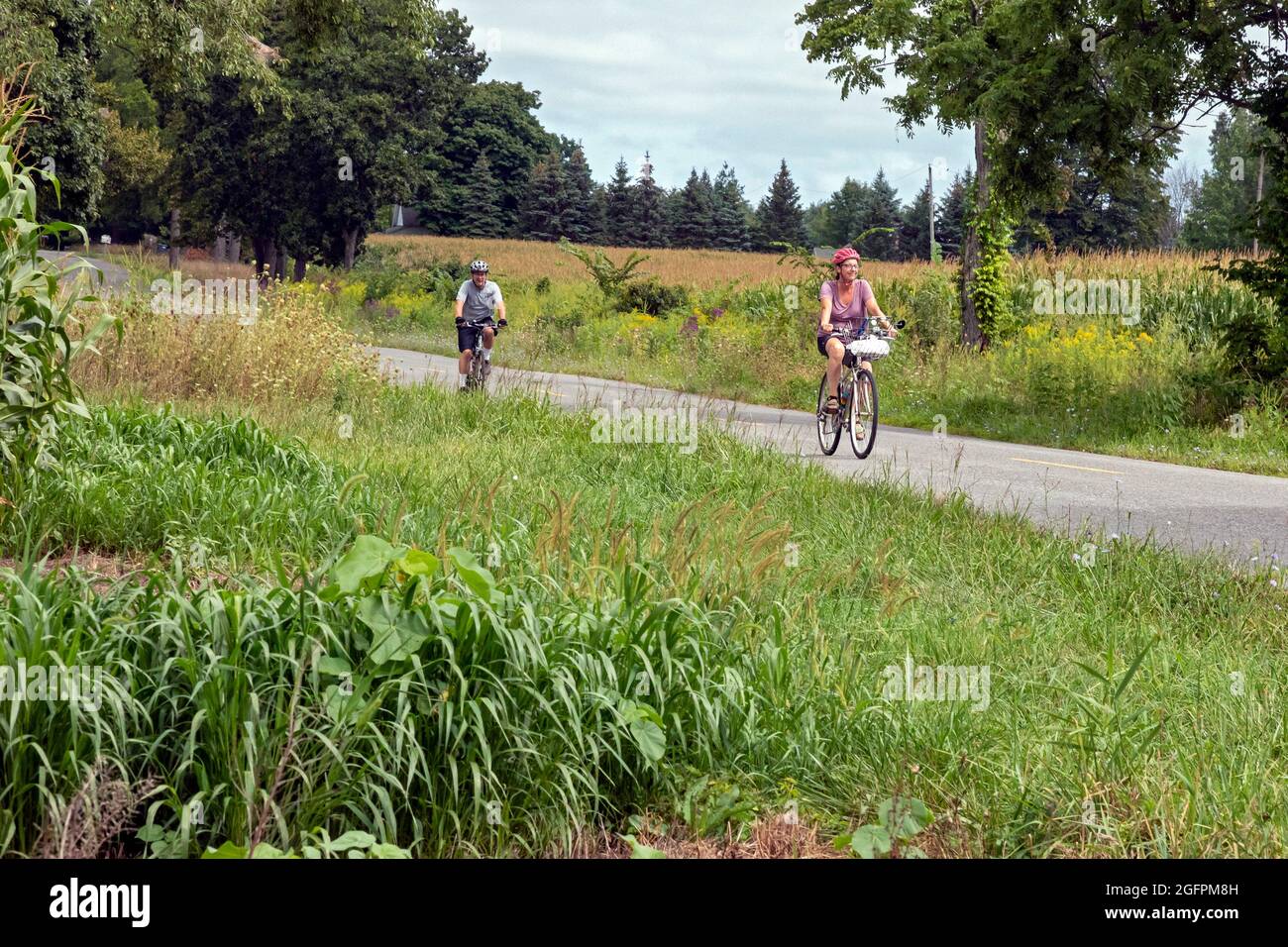 Three Oaks, Michigan - Bicycle riders on a rural road in southwest Michigan. Stock Photo