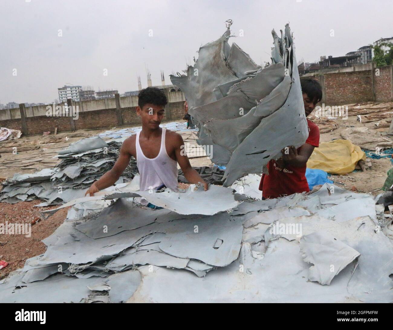 Non Exclusive: DHAKA, BANGLADESH - AUGUST 26: A worker of a tannery from Hazaribagh lifts leather pieces  that were dried  to tranpor them   as part o Stock Photo