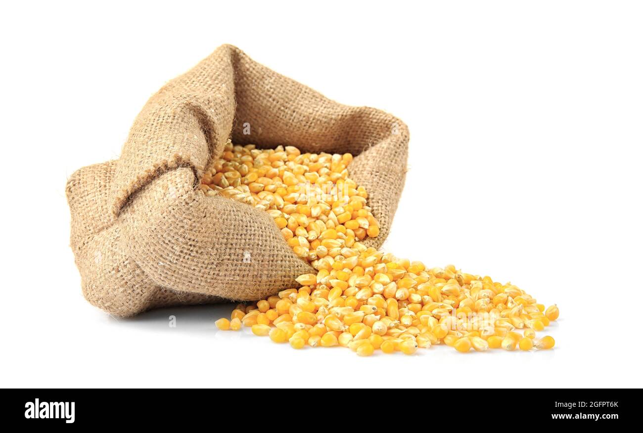 Bag with corn seeds isolated on white Stock Photo Alamy