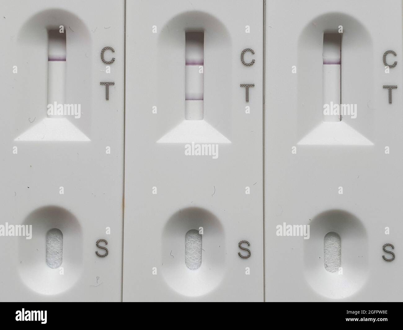 positive control swab negative control swab