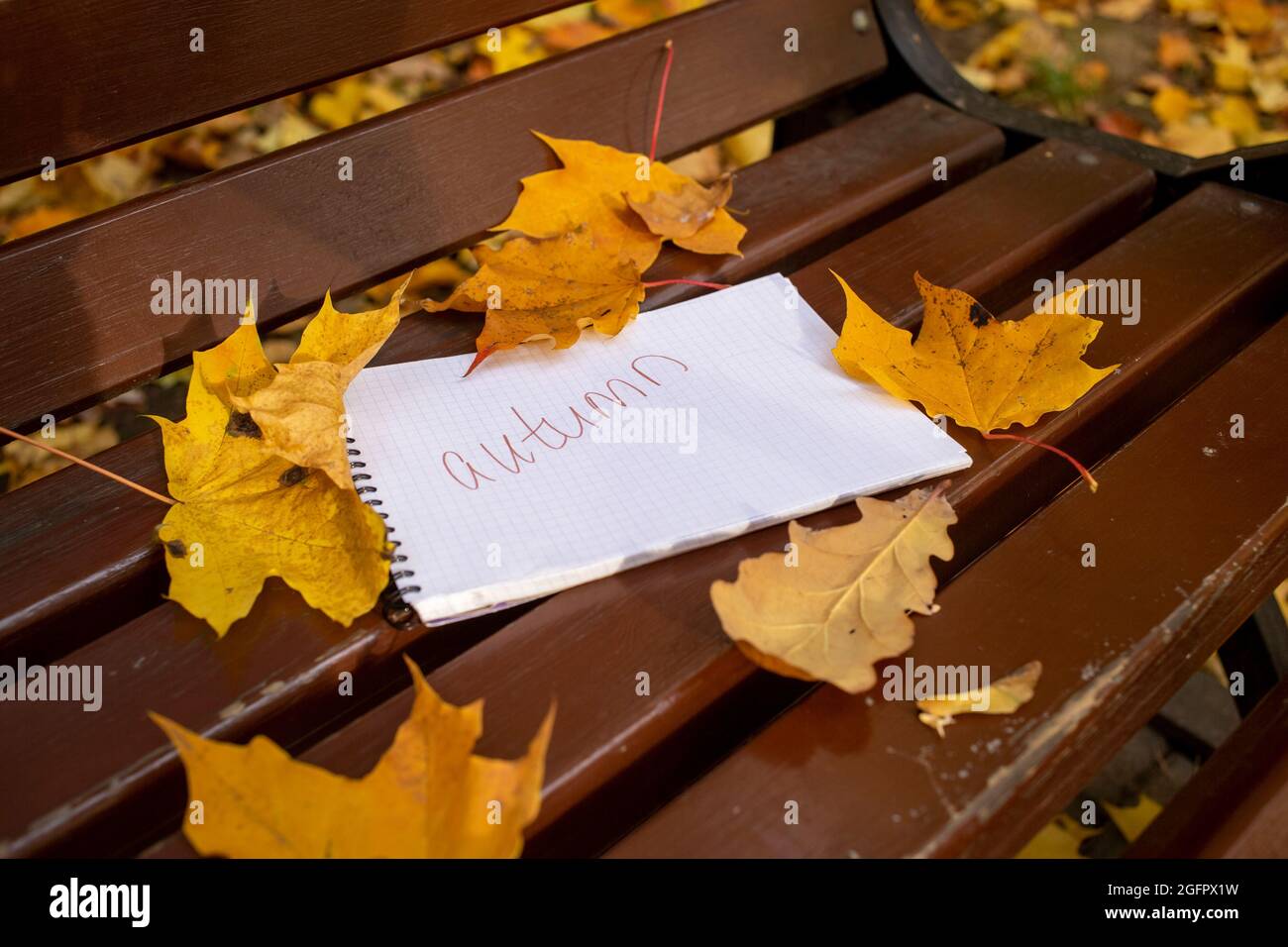 notepad with inscription autumn lies in park bench in autumn leaves in sun shining, angle view Stock Photo