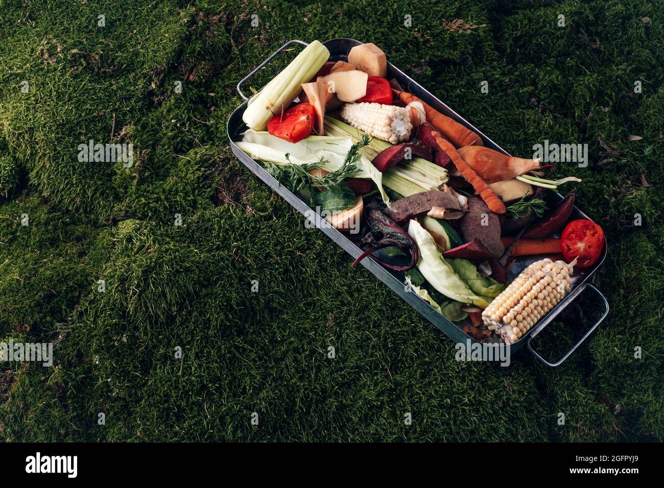 Fresh kitchen scraps in bin on a background of grass. top view. Sustainable and zero waste. . High quality photo Stock Photo
