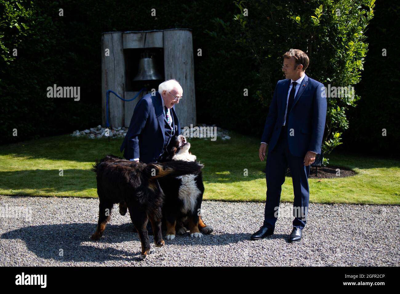 Michael higgins president dogs hires stock photography and images Alamy