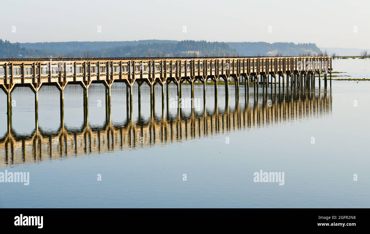 Olympia, WA, USA - August 23, 2021; The elevated wooden boardwalk over tidelands at the Billy J Frank Nisqually National Wildlife Refuge, Olympia Stock Photo