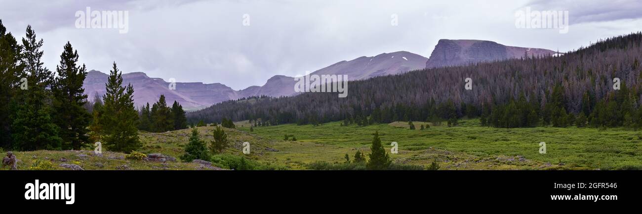 Kings Peak panoramic vista views in Uintah Rocky Mountains from Henry’s Fork hiking trail in summer, Ashley National Forest, High Uintas Wilderness, U Stock Photo