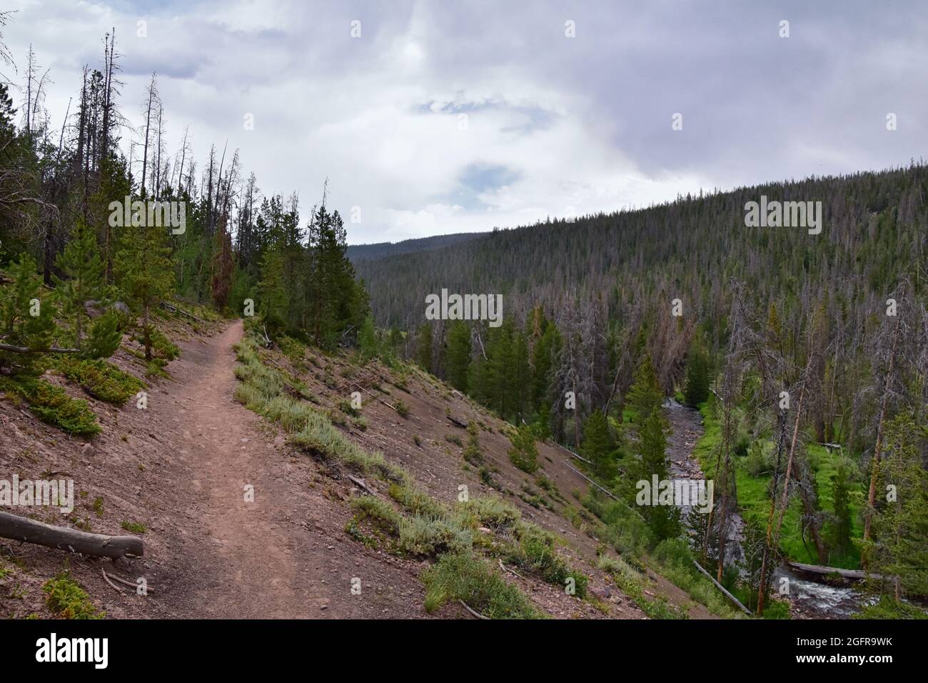 Henry s Fork hiking trail view towards Kings Peak in Uintah Rocky