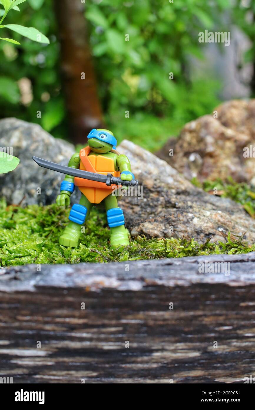 10+ Lego Tortue Ninja Photos, taleaux et images libre de droits - iStock