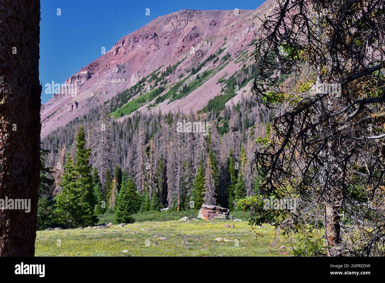 henry's fork trailhead
