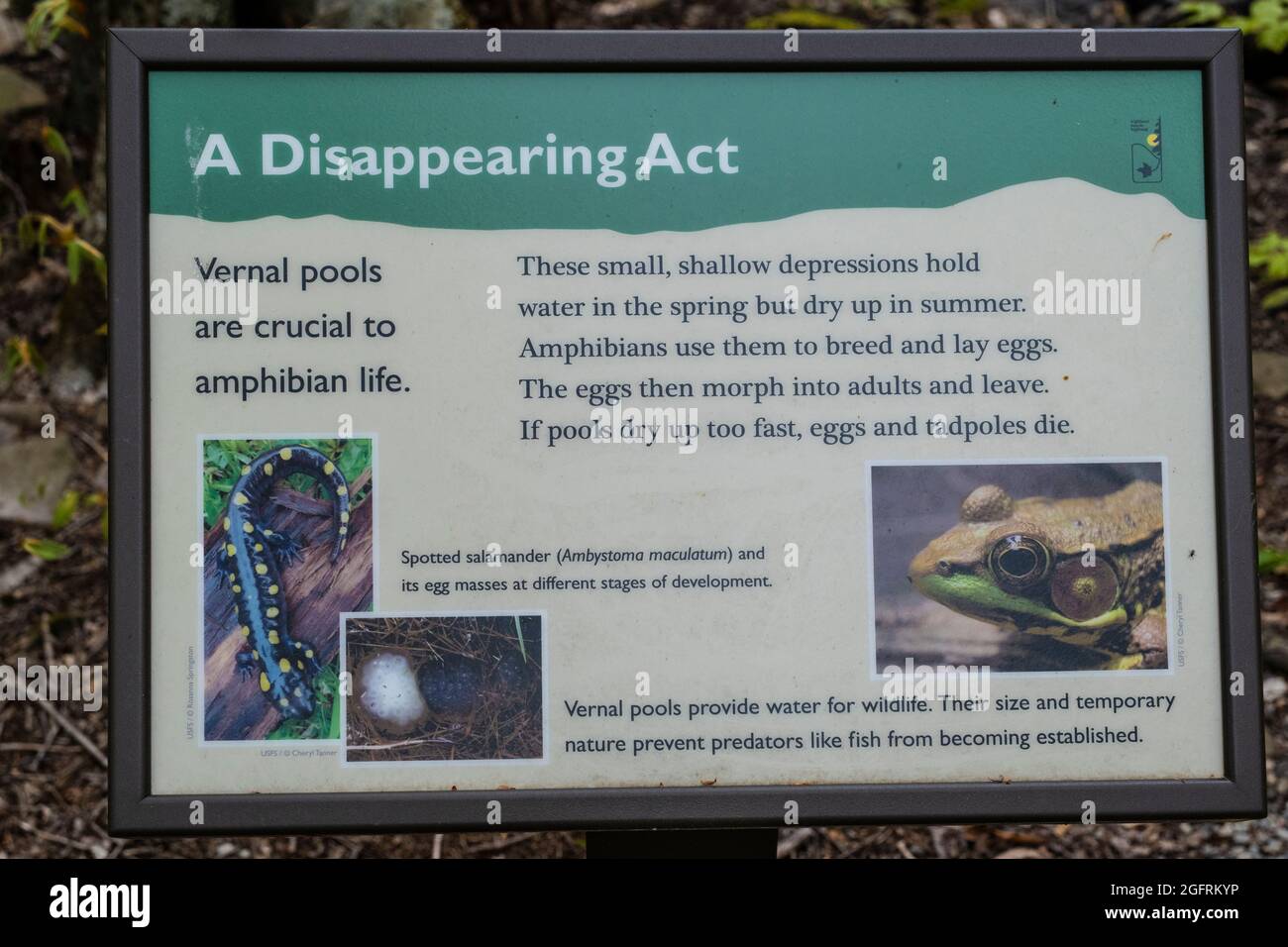 Cranberry Hill, West Virginia. Explanatory Sign at Vernal Pool. Stock Photo