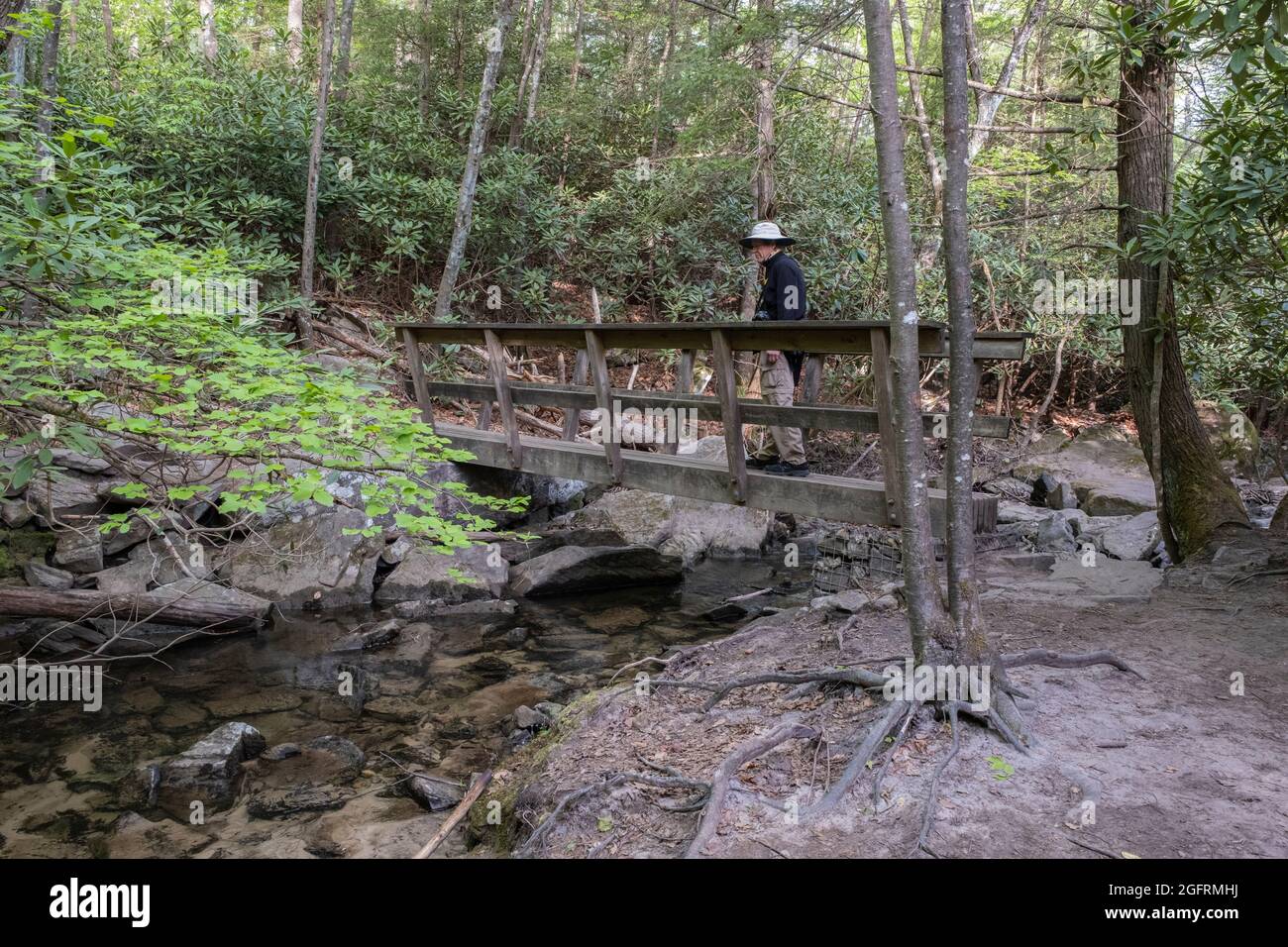 New River Gorge National Park, West Virginia.  Hiker Crossing Footbridge across Fern Creek on the Endless Wall Trail. Stock Photo