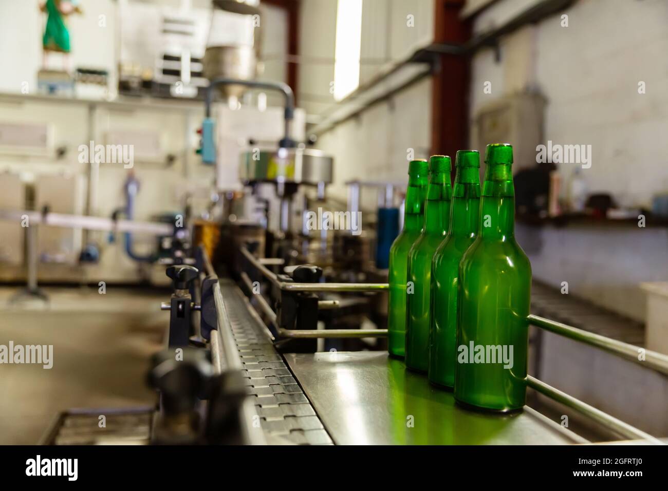 Bottles of cider on bottling line Stock Photo Alamy