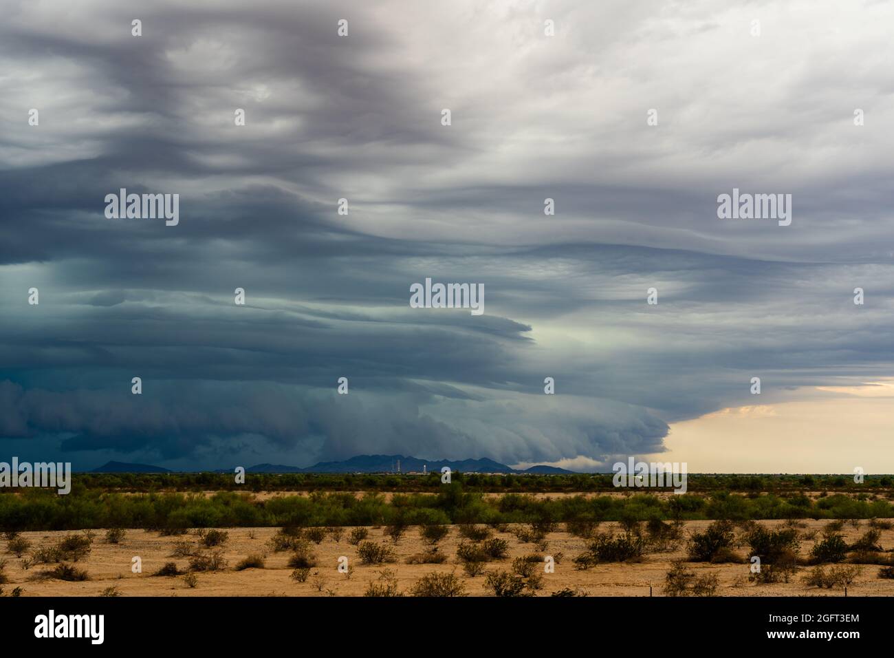 Giant Shelf Cloud Rolling over the Arizona Desert Stock Photo
