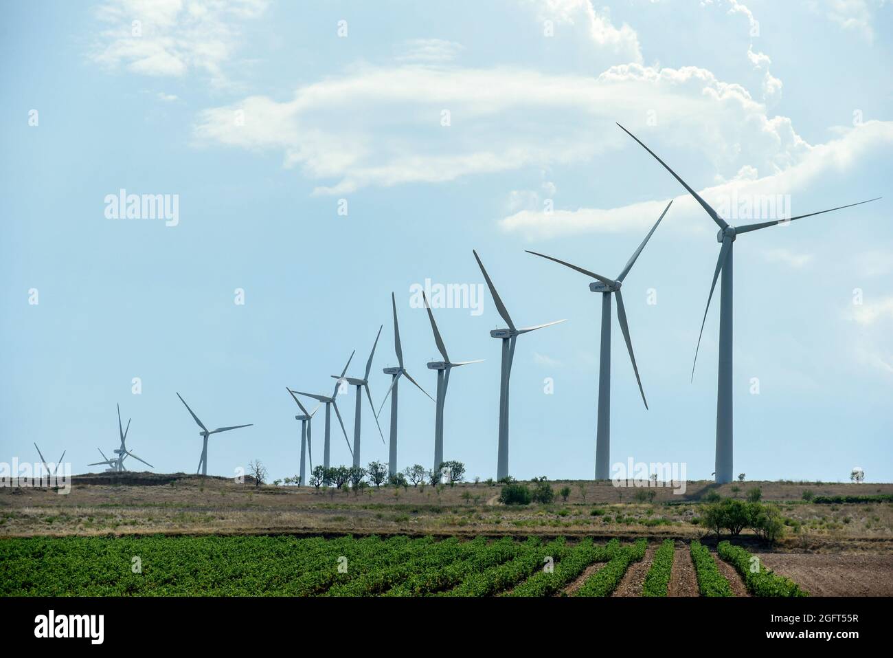 A view of wind turbines at the Wind Energy Plant Raposeras in Pradejón.The Raposeras Wind energy plant of the company EAER (Energias Alternativas Eolicas Riojanas) in the town of Pradejon has 26 wind turbines with a unit power of 1,500 kW and a blade diameter of 70.5 meters and they develop with an installed power of 39 MW. Credit: SOPA Images Limited/Alamy Live News Stock Photo