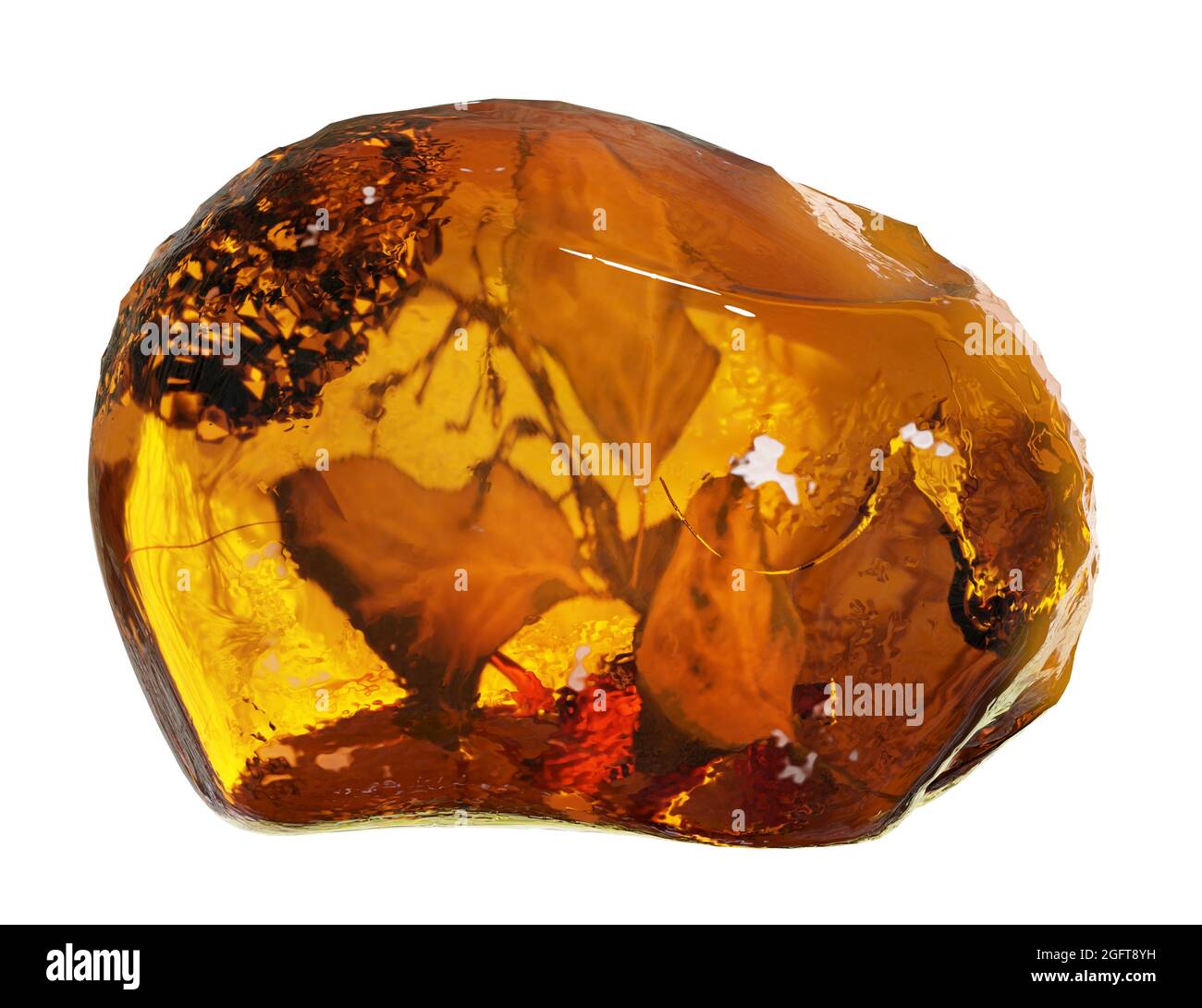 amber with leaves, natural fossilized tree resin isolated on white background Stock Photo