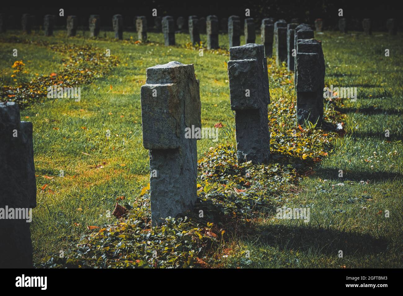 Cemetery with cross-stones and grass Stock Photo