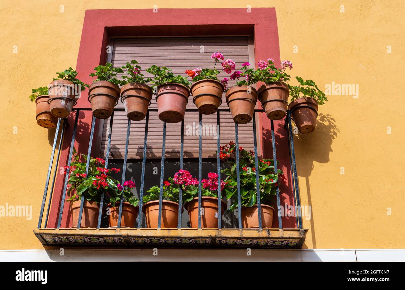 Juliet balcony with beautiful pink flowers in pots Stock Photo Alamy