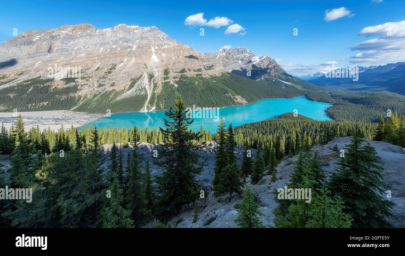 Beautiful Peyto lake in Banff National Park, Canada Stock Photo - Alamy