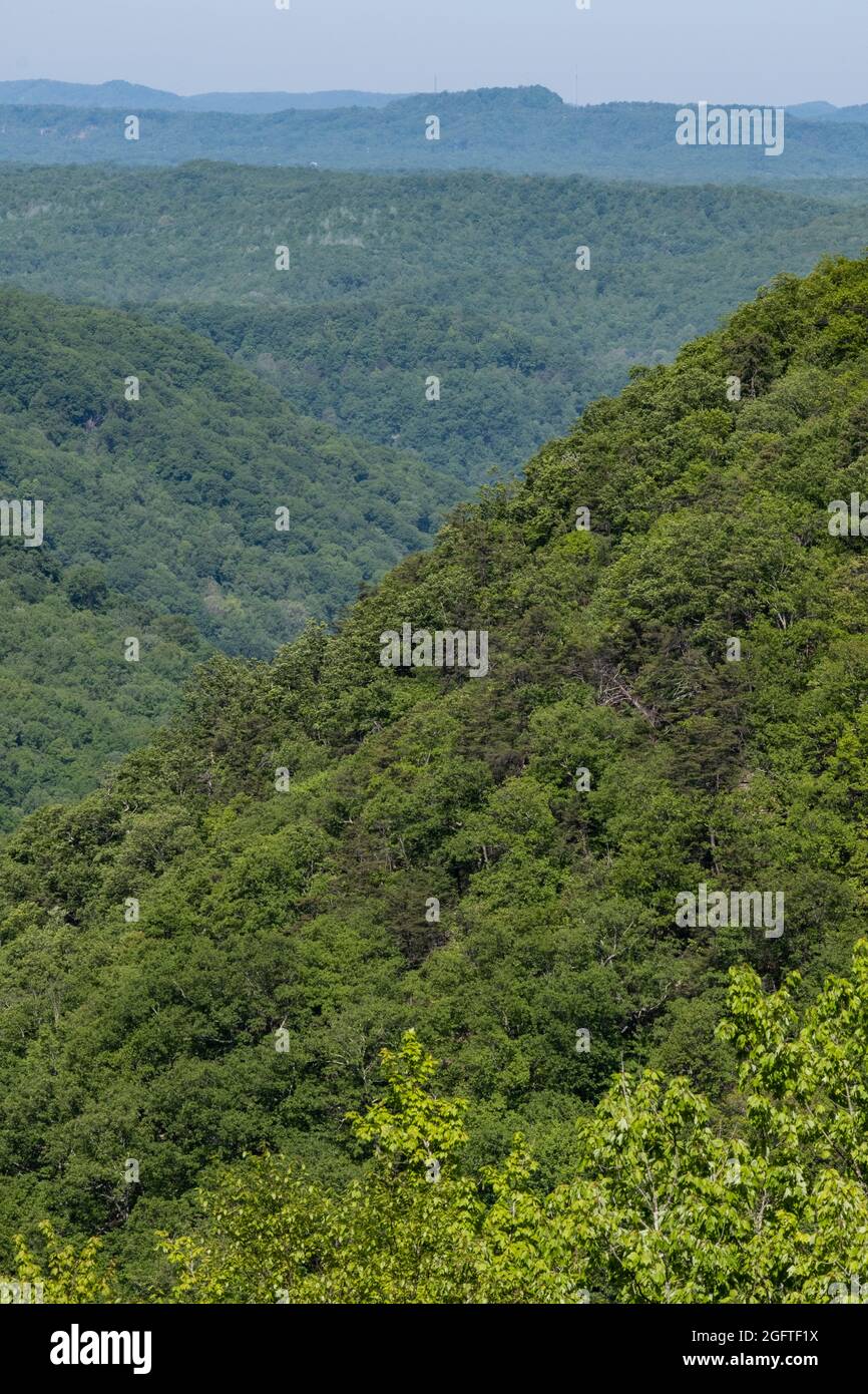 West Virginia. Appalachian View looking Northwest from Babcock Mill State Park. Stock Photo