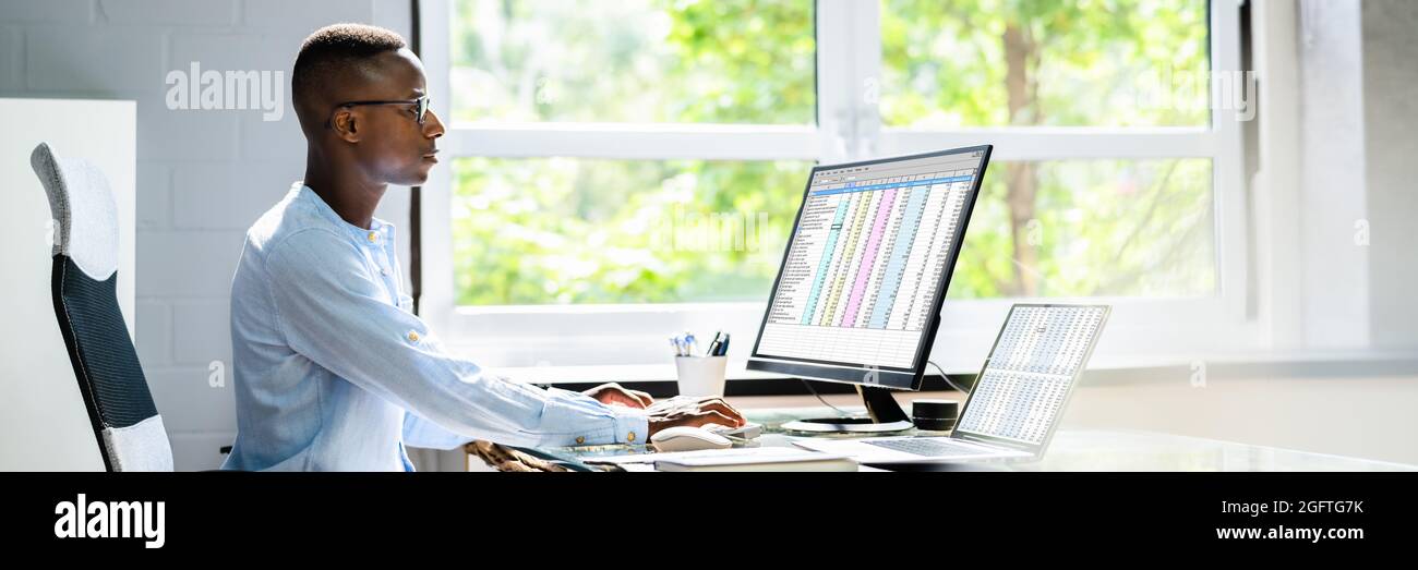 African American Office Employee Auditor Using Spreadsheet Stock Photo