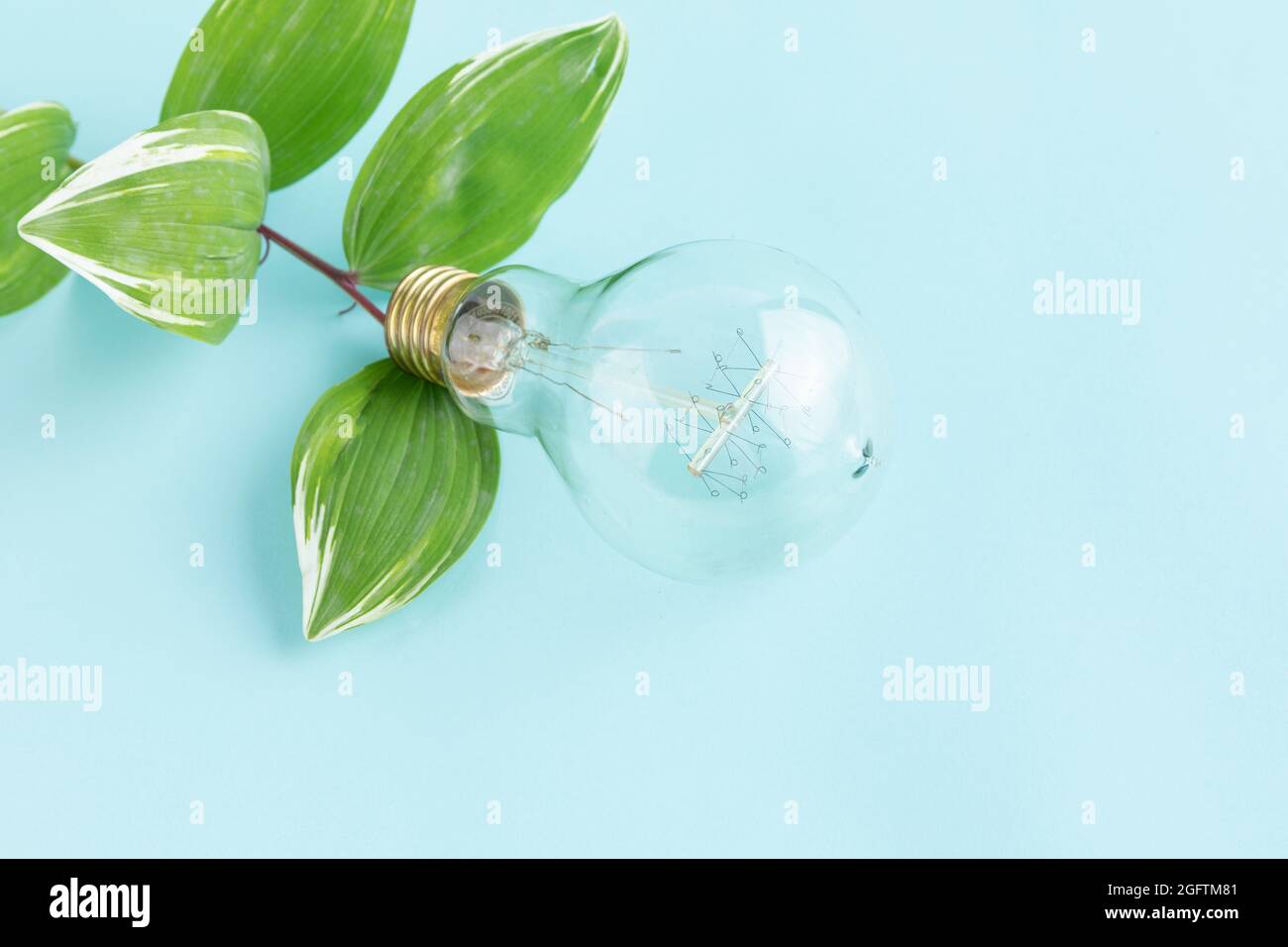 light bulb on plant like flower Stock Photo Alamy