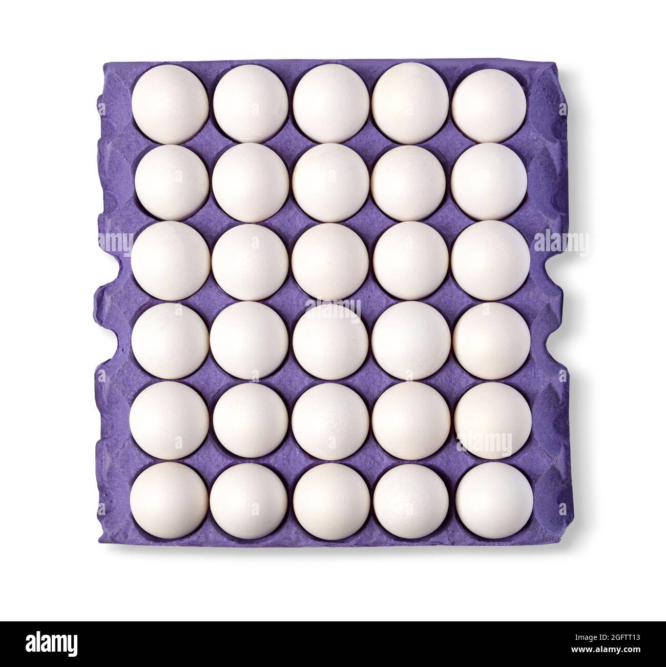 Egg in Cardboard egg tray on white background with clipping path Stock