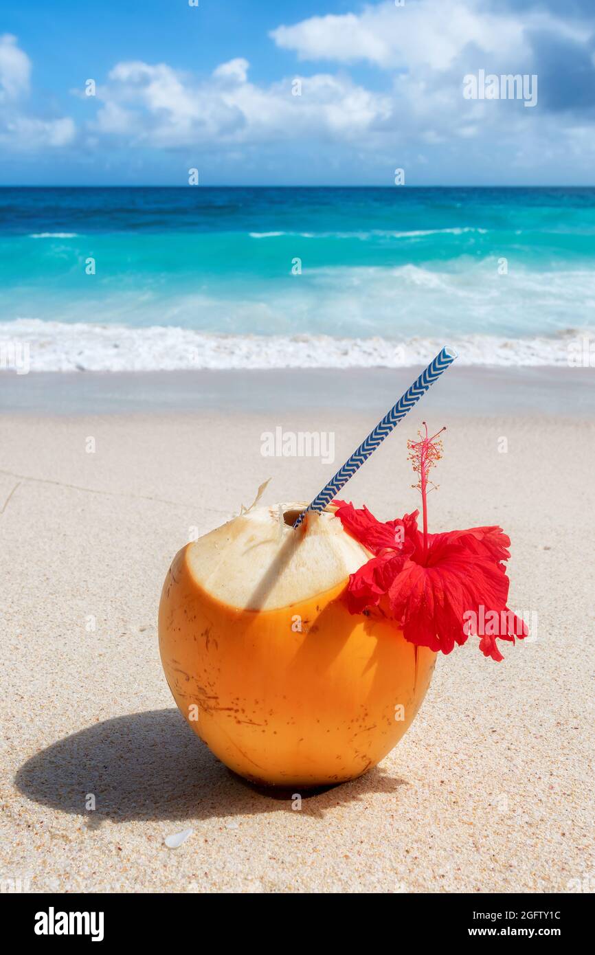 Fresh coconut with tropical juice on white sand in tropical beach. Summer vacation and tropical beach concept. Stock Photo