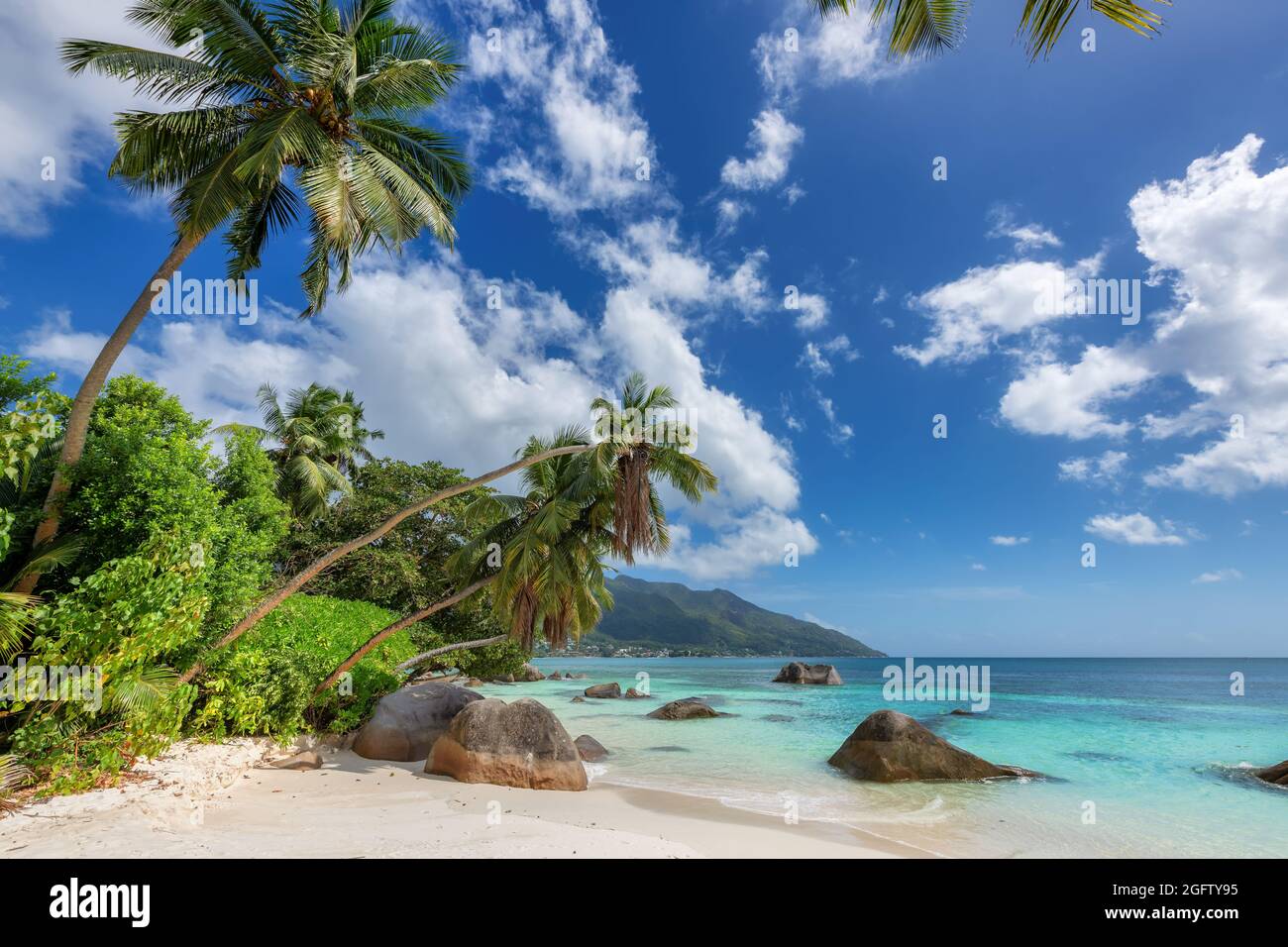 Paradise tropical beach with palms and turquoise sea Stock Photo