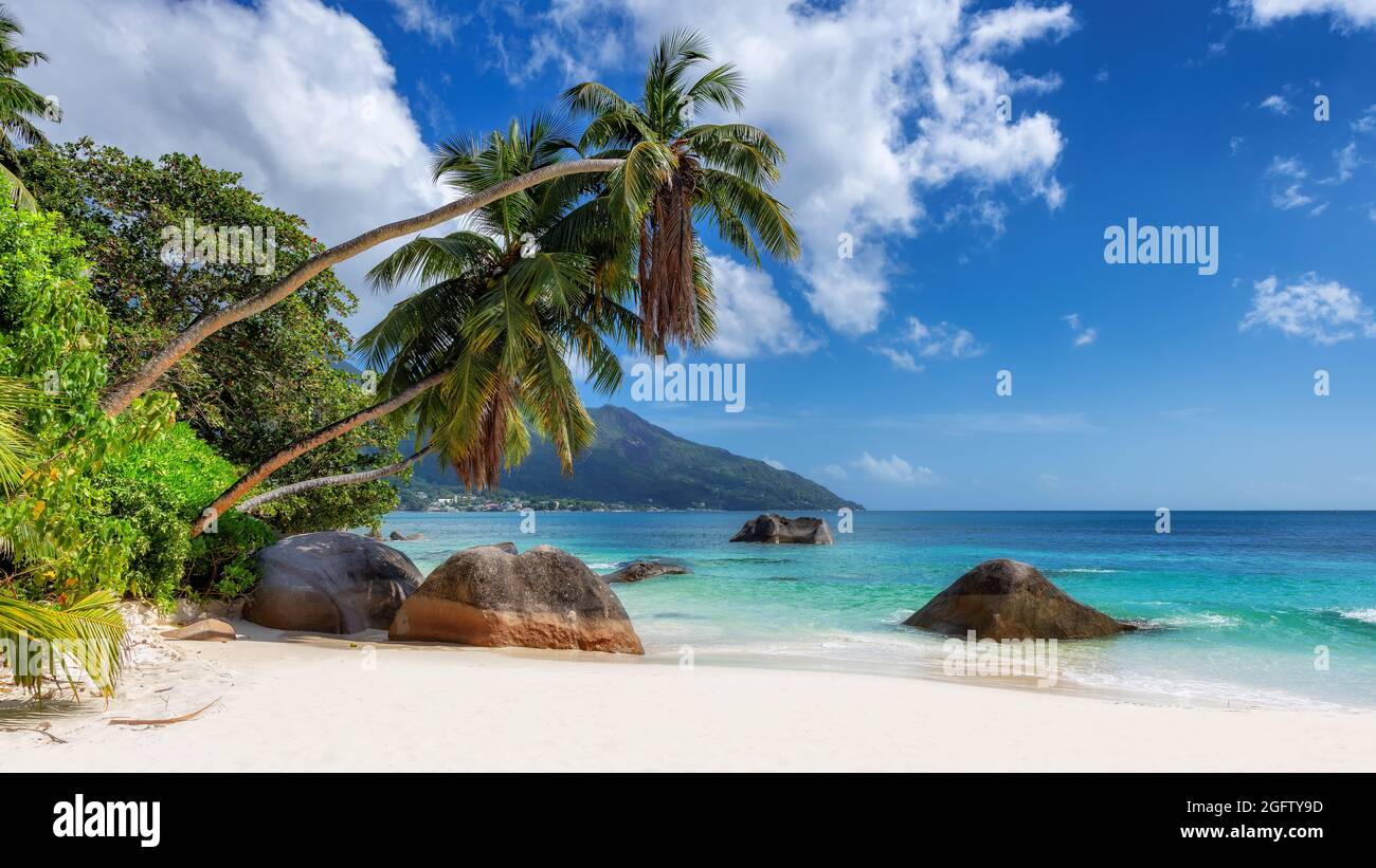 Tropical beach with palms and turquoise sea in paradise island Seychelles Stock Photo