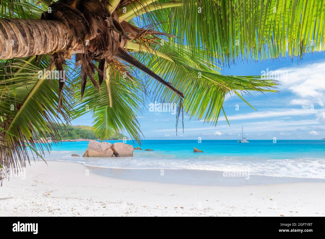 Palm tree on Paradise Sunny beach. Anse Lazio beach, Praslin island, Seychelles. Stock Photo