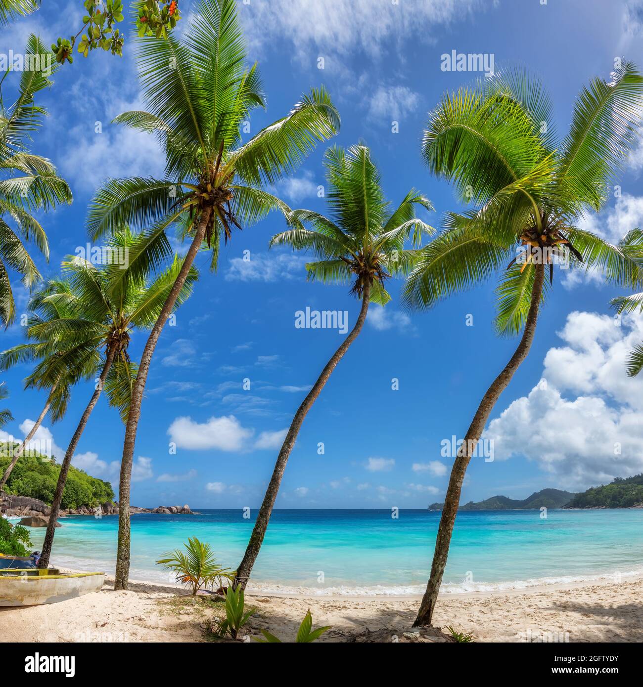 Ocean landscape tropical beach hi-res stock photography and images - Alamy