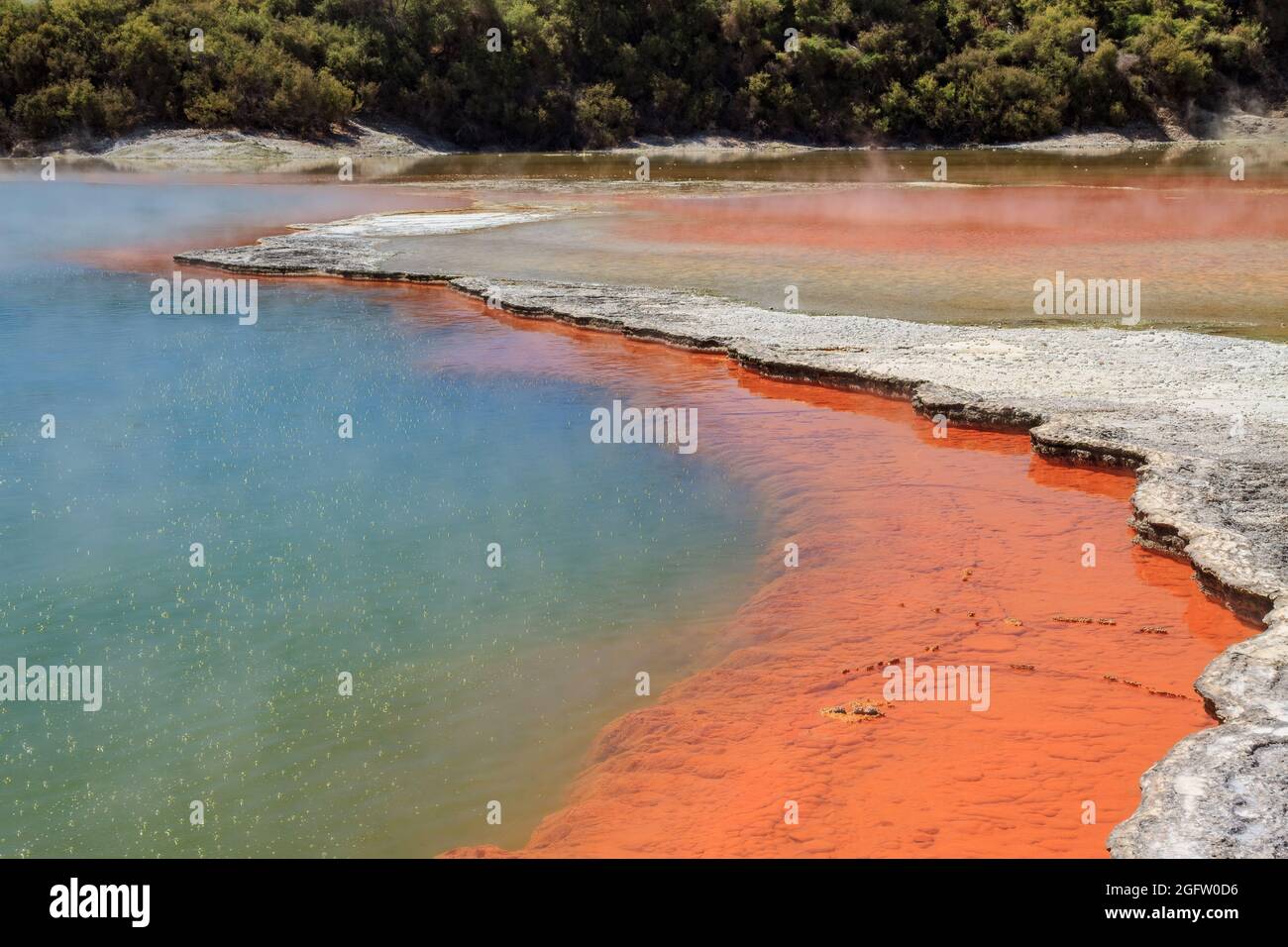 The Champagne Pool in the Waiotapu geothermal area, New Zealand, named for the bubbles that constantly rise from it Stock Photo