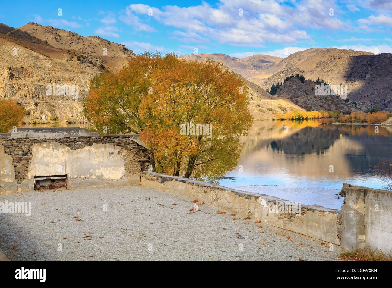 Cromwell, New Zealand, in autumn. The ruins of the old old Athenaeum Hall (1874) and a colorful willow tree on the edge of Lake Dunstan Stock Photo