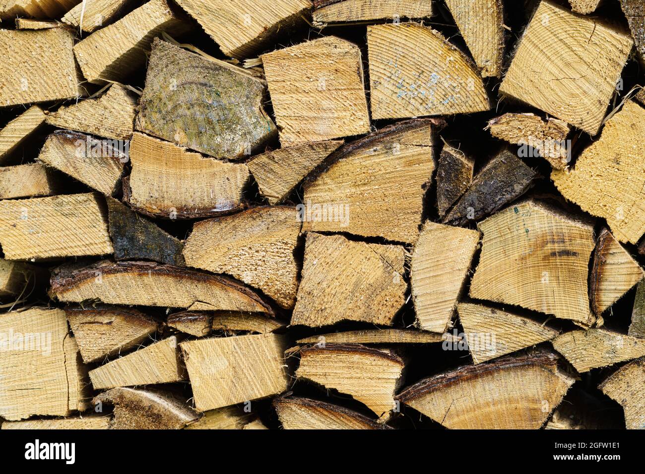 Stack of firewood prepared for winter. Spruce wood Stock Photo Alamy