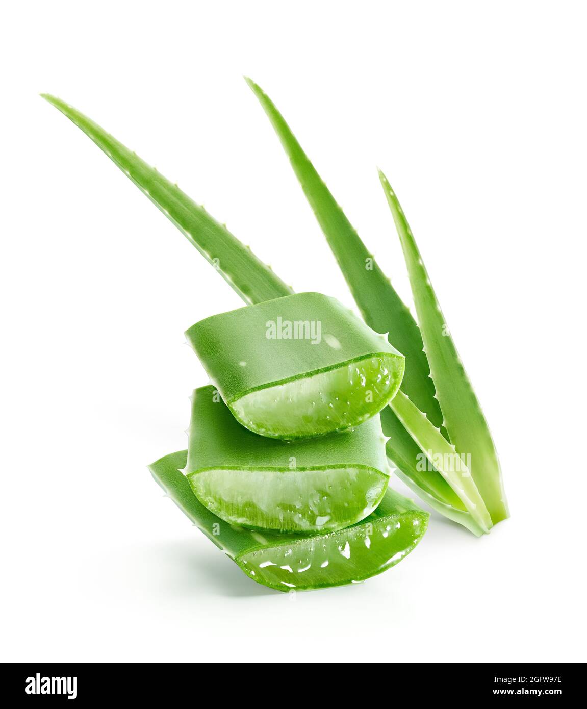 Aloe vera plant showcasing freshly dissected section Stock Photo