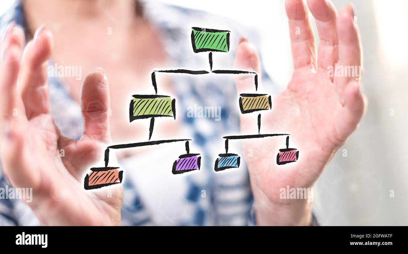 Organizational chart concept between hands of a woman in background ...