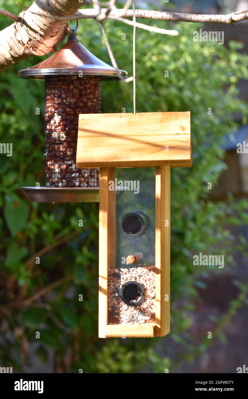 Two beautiful hanging bird feeders Stock Photo Alamy