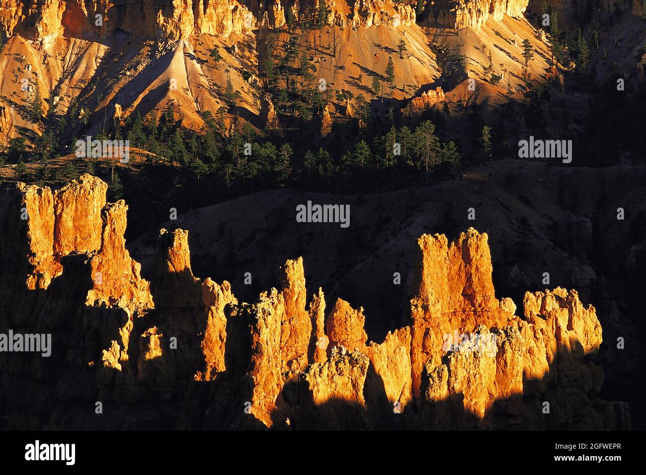Highly-eroded pinnacles and cliffs in Bryce Canyon, Utah, dramatically lit in low evening light, USA, Utah, Bryce Canyon National Park Stock Photo
