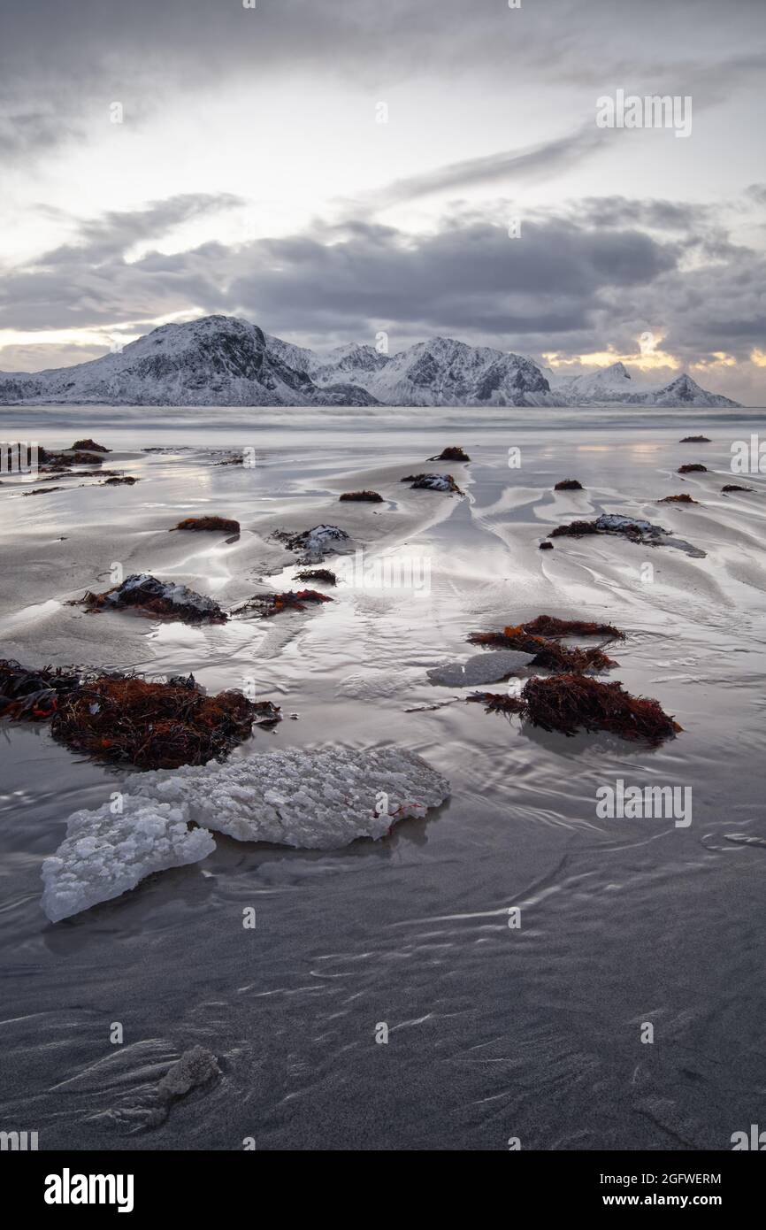 Coastal landscape in winter after sunset, sandy beach with small islands of ice, a mountain range with snow in the background, the sky reflected in th Stock Photo