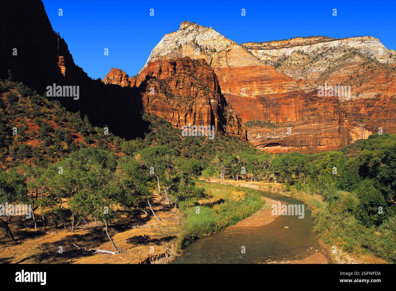 The rock peaks and woodlands Zion Canyon along the Virgin River, USA, Utah, Zion National Park Stock Photo