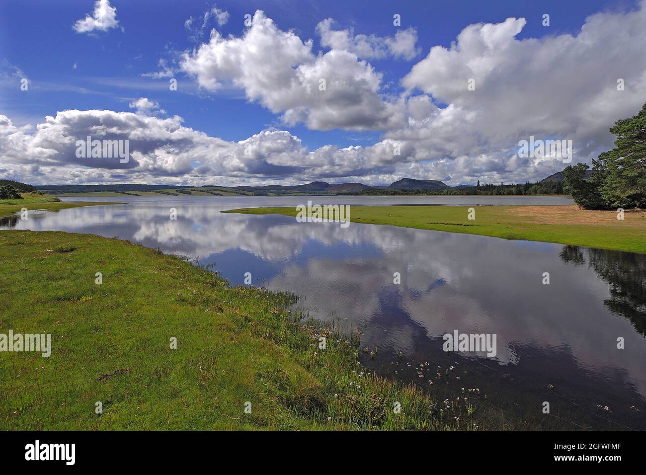reflections of trees and sky in the still waters of Loch Fleet, United Kingdom, Scotland, Sutherland, Golspie Stock Photo