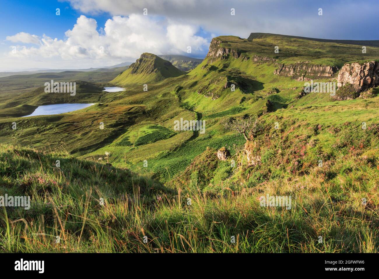 Trotternish, The Quaraig, United Kingdom, Scotland, Isle of Skye Stock Photo