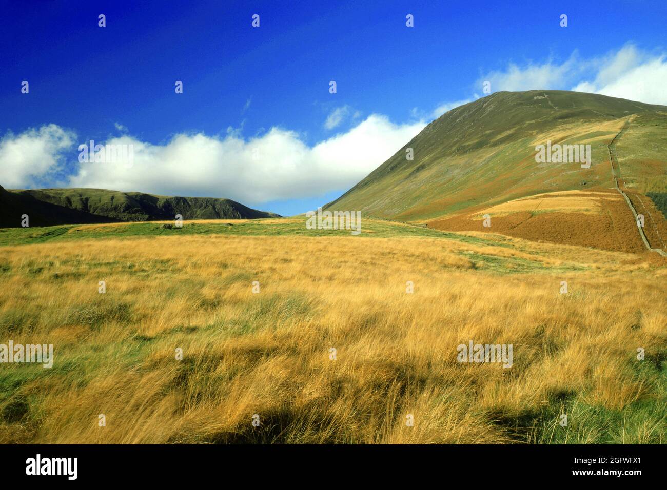 White Comb, the Moffat hills, southern Scotland, United Kingdom, Scotland, Moffat Hills Stock Photo