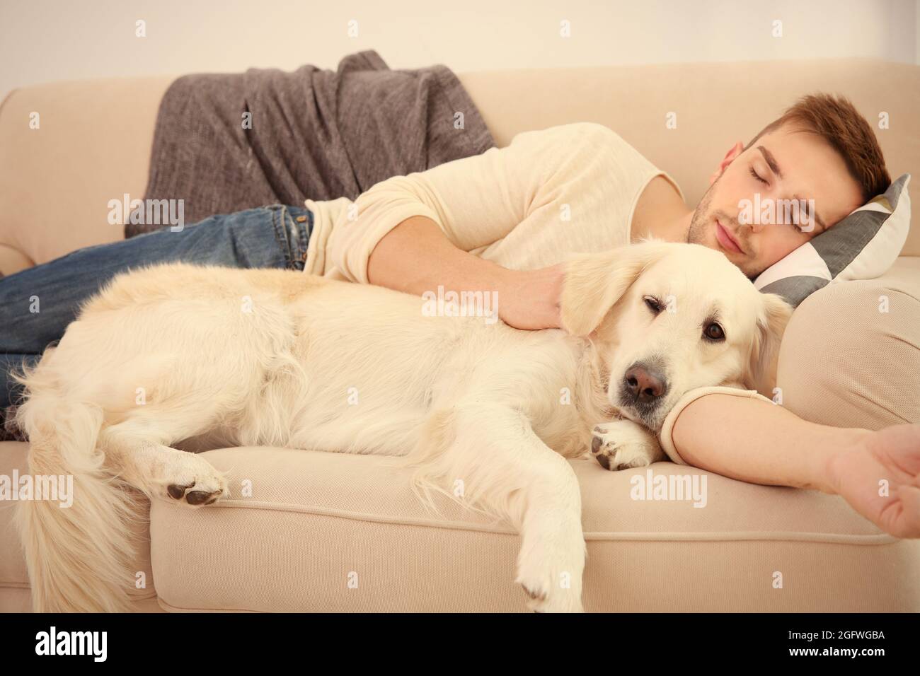 dog sleeping on sofa