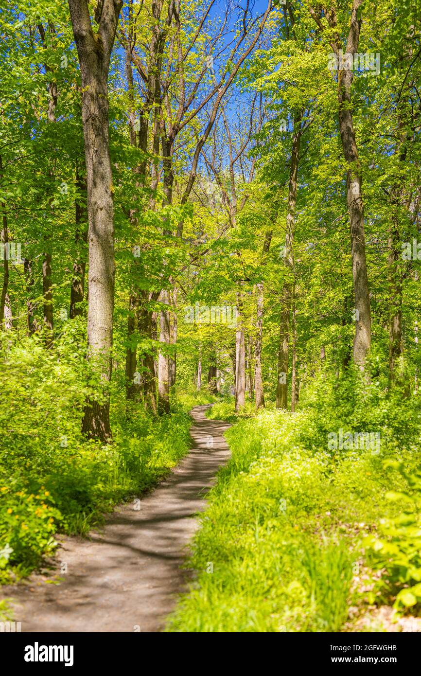 Pathway flora hires stock photography and images Alamy