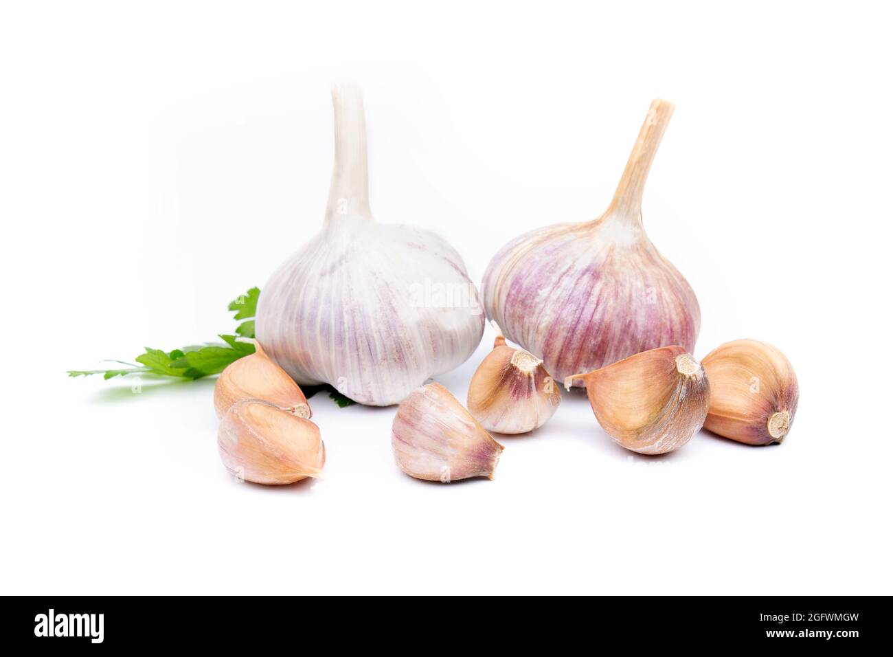 Garlic Cloves and Garlic Bulb on white background Stock Photo - Alamy